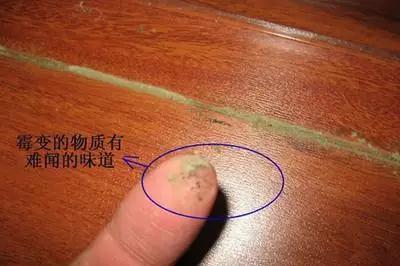 防潮，就是這么任性